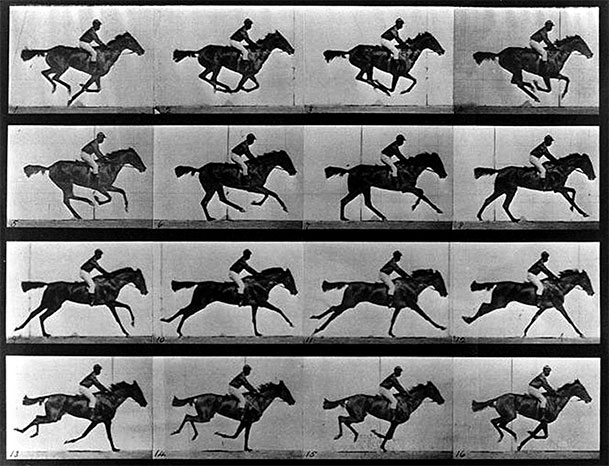 Muybridge: Estudio de movimiento de un caballo.